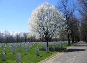 Beverly National Cemetery