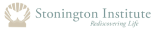 Stonington Institute Starlight Program