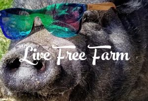 Live Free Farm