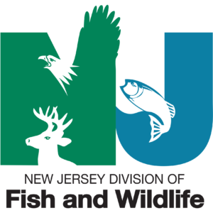 NJ Division of Fish and Wildlife